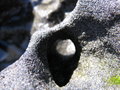 Mother Natures Carvings
