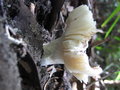 113_1370.JPG