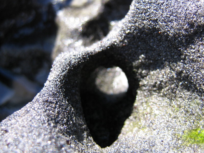 Mother Natures Carvings