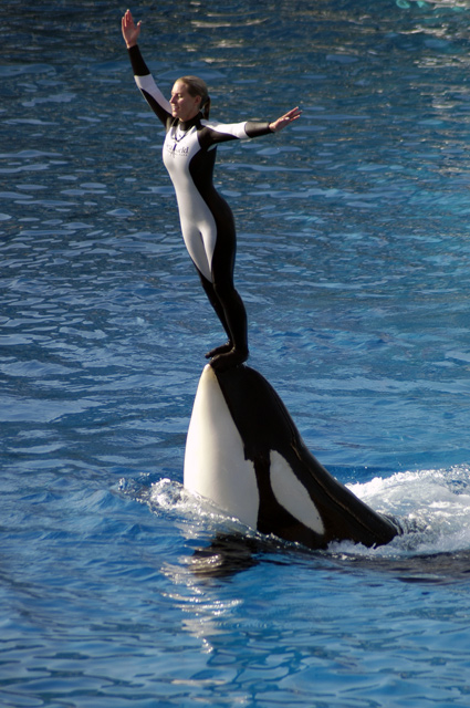 _DSC3553.jpg