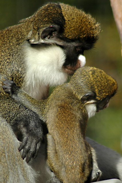 DSC_4491.jpg