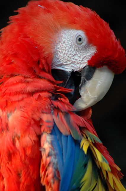 DSC_4529.jpg