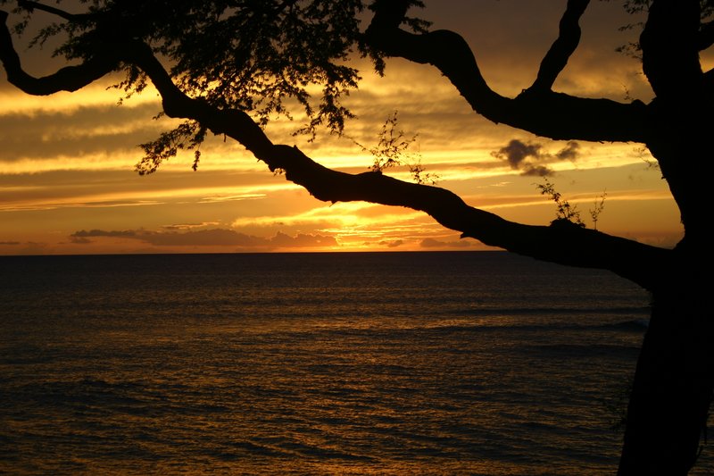 sunset8.JPG