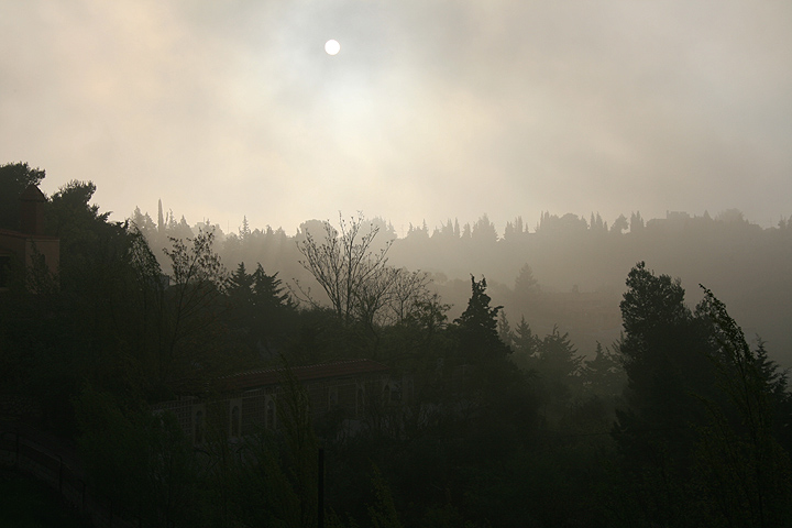 Sun and Fog.jpg