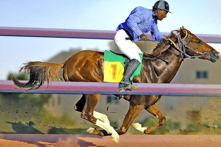 horseoverrail.jpg