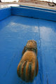 Picture 340 copy.jpg