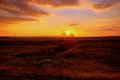 DSC_0105-1.jpg