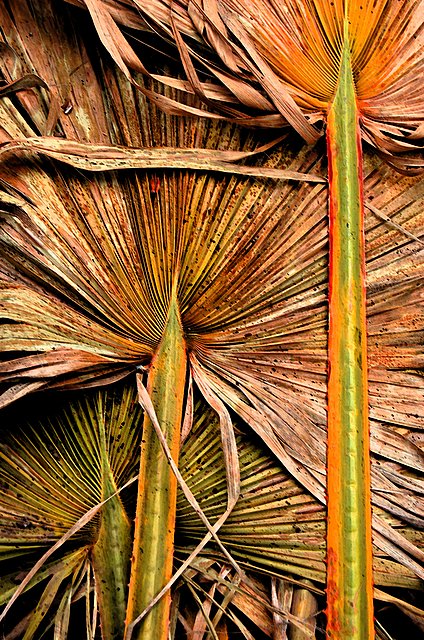 Dead but alive with color