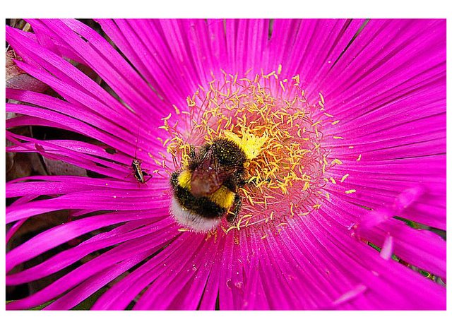 Blessed are those who wait