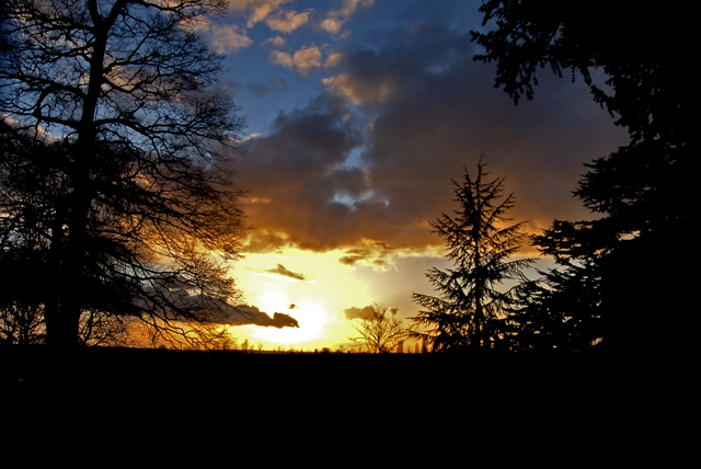 Picture-2622.jpg