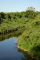 Antler Creek from the Elmore Bridge