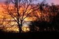 Sun Set