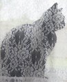 My Cat