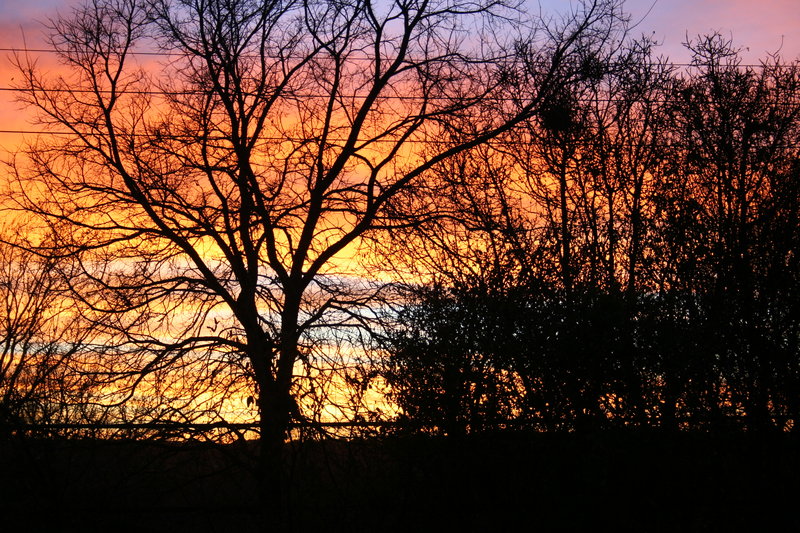 Sun Set