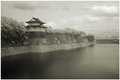 The Moat