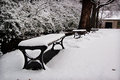 Korea University Benches