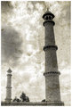 Taj