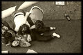 Day 02 - Market War