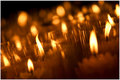 Candles of Wishing