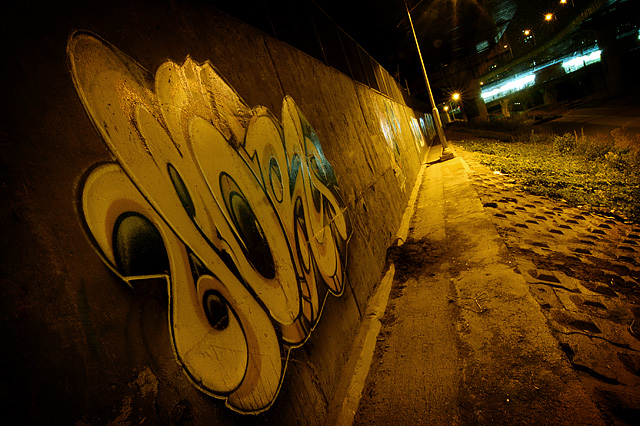 Path to the Station