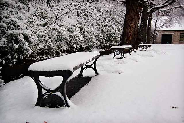 Korea University Benches