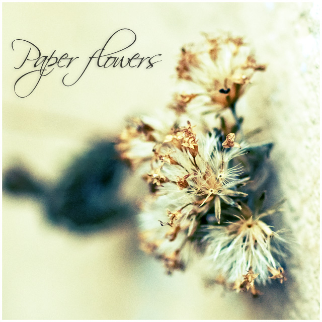 Day 9 - Paper Flowers