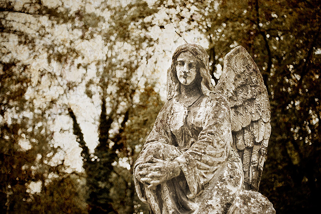 Angel