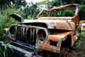 Safari Destruction