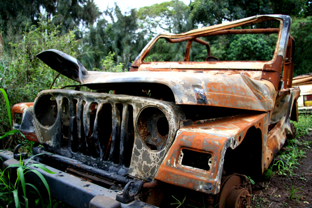 Safari Destruction