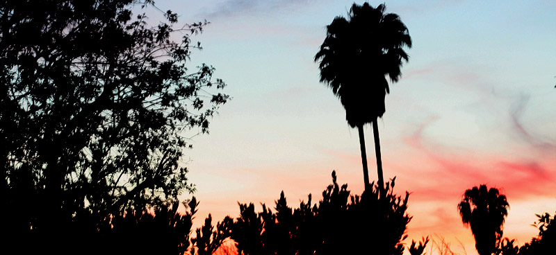 Ahh...California!