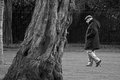 A Stroll through the Park
