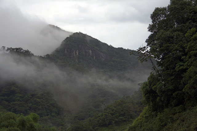 Cloudy Hills