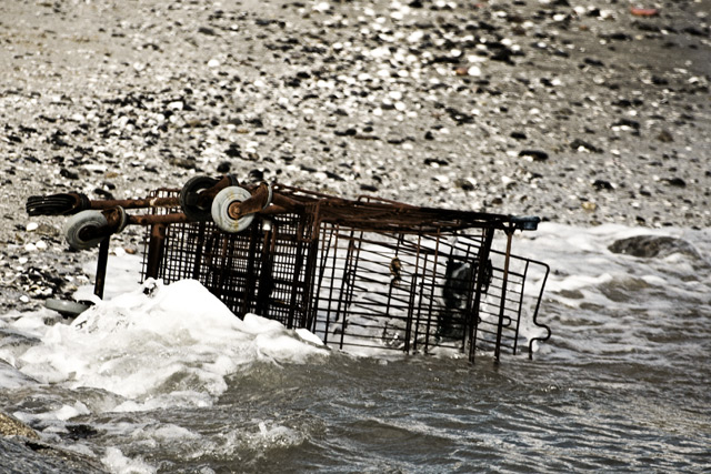 Trolley for the Fishes