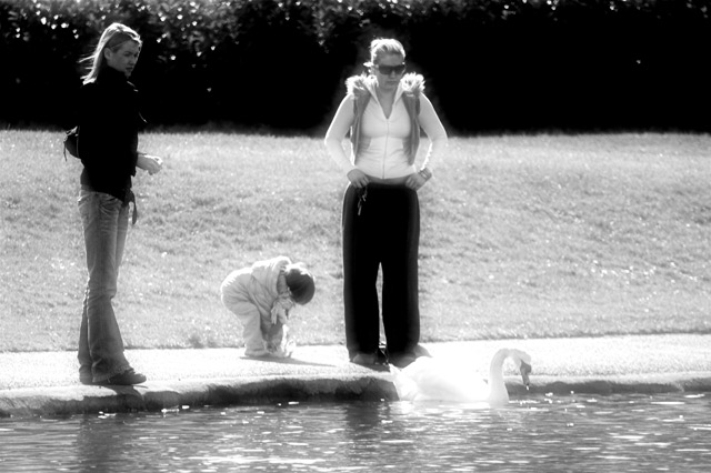 Feeding the Swans in Highkey B&W
