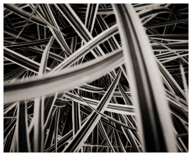 Patterns