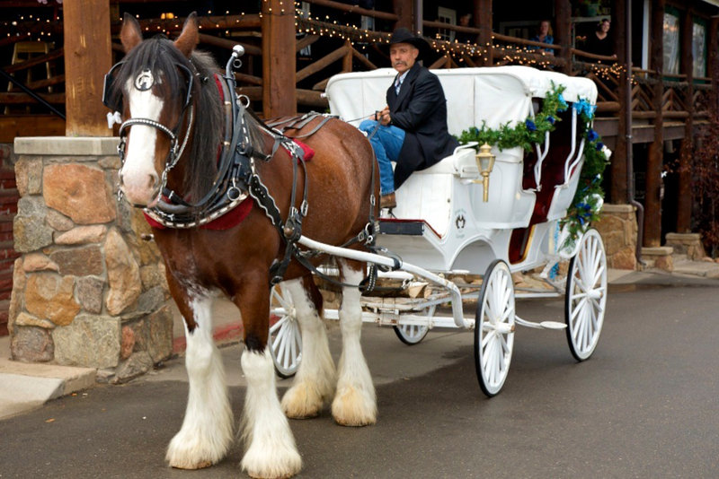 WeddingCarriage
