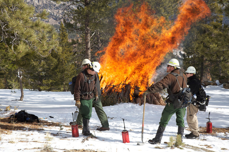 PrescribedBurn_2172