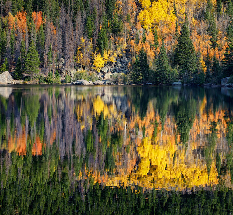 BearLakeAspens_7665