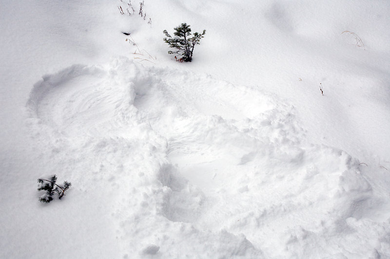 SnowAngelFinal_5568@0