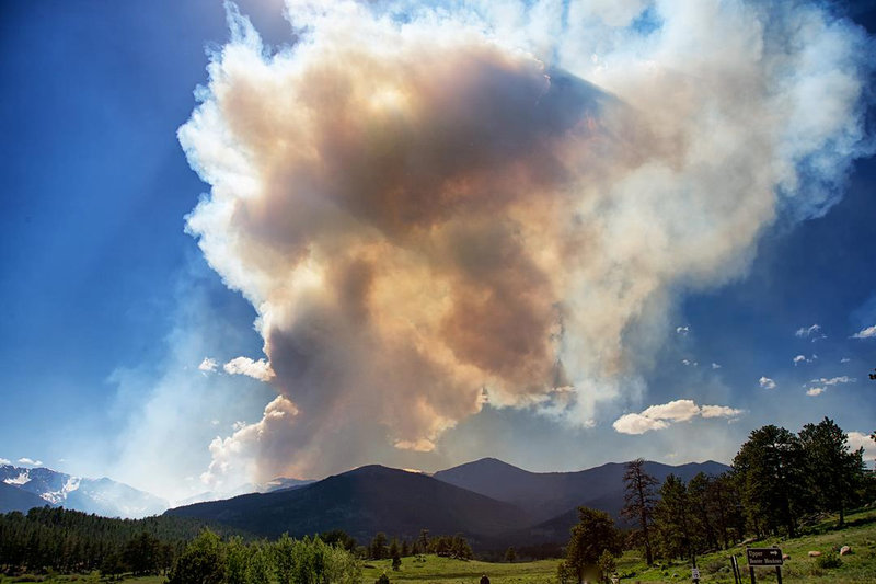 Pyrocumulus2013