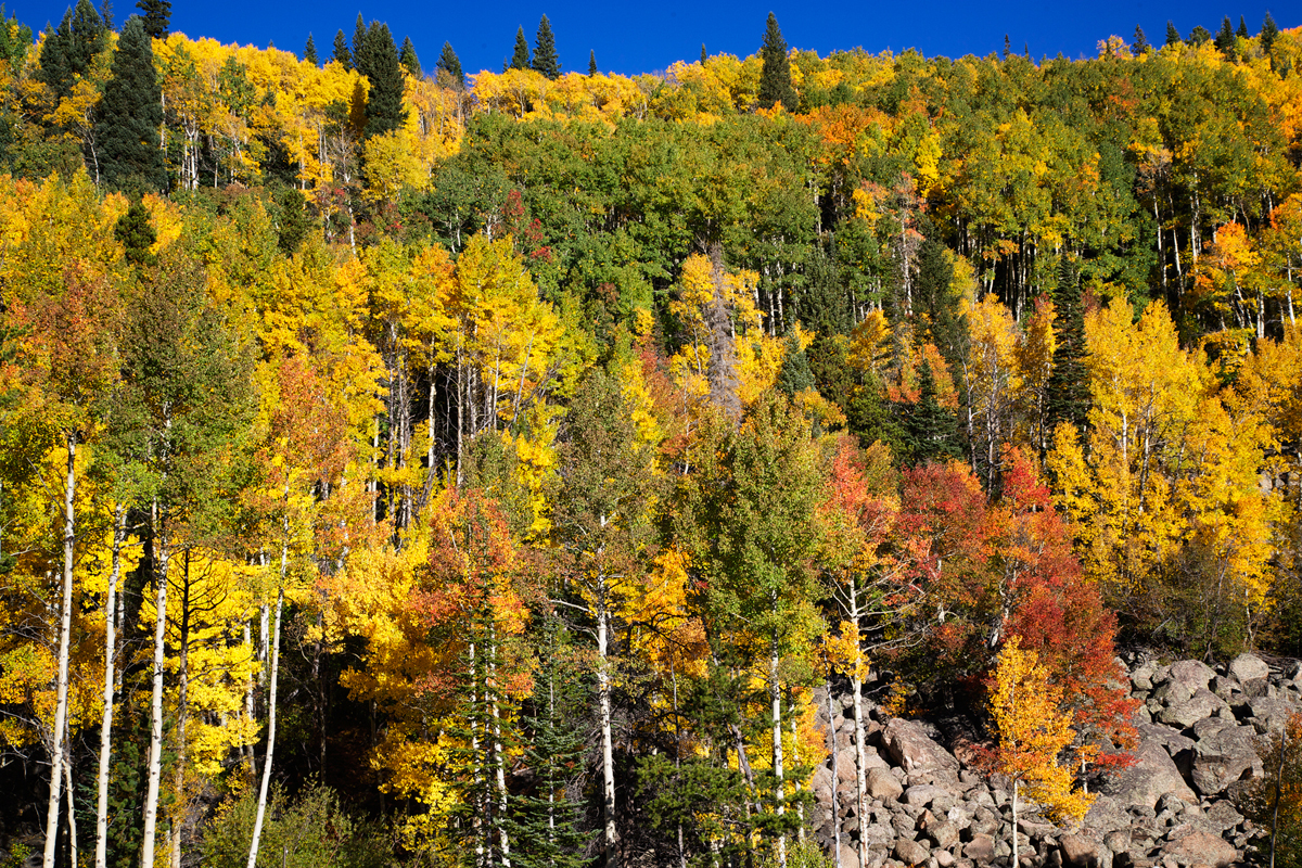 AspenColors_8452_092014DPC