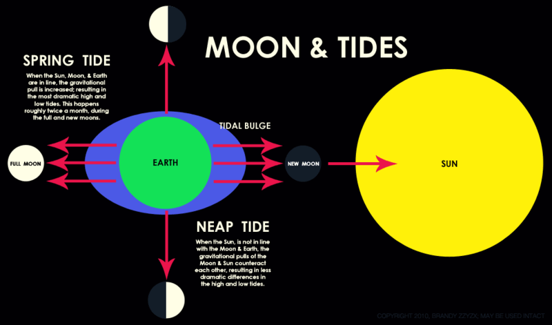 june2010-moon_effect_on_tide-web960