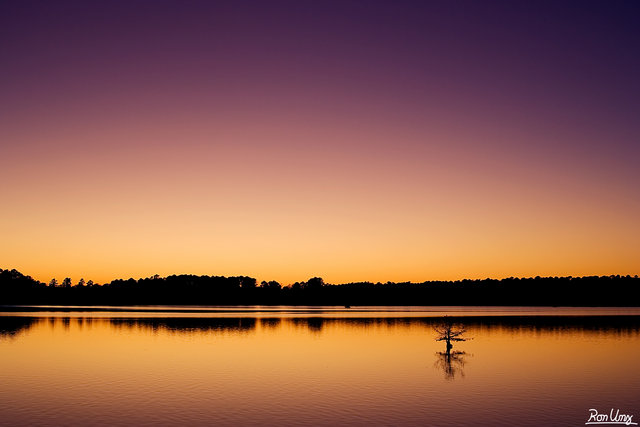 Purple Sunset