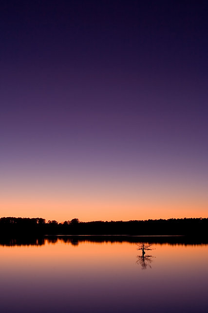 Purple Sunset 2