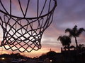 Hoops at Sunset