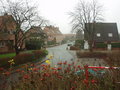 Meuhlenweg Colors and Contrasts