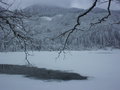Winter am Jager See