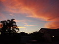Palm Sunset