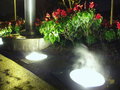 Steaming Rain