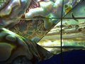 Abalone - Original